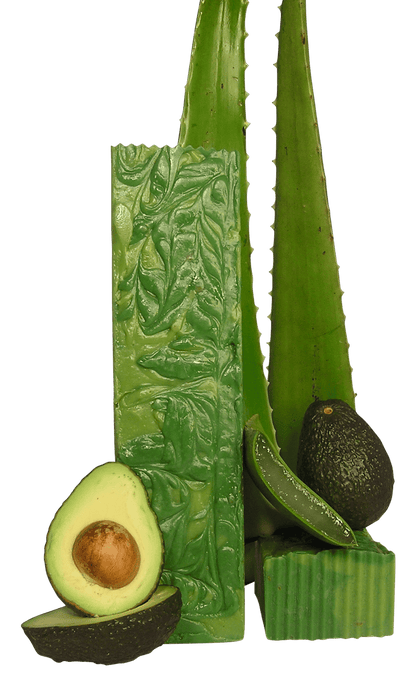Aloe Avocado